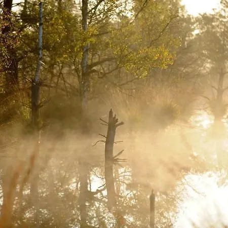 Hotel Hotel Villa Heideglueck Vormals Hotel Villa Schneverdingen 3*