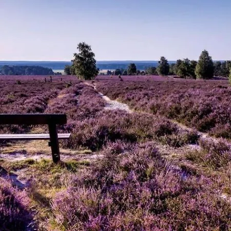 Hotel Villa Heideglueck Vormals Hotel Villa Schneverdingen 3* Schneverdingen