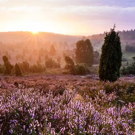 Hotel Villa Heideglueck Vormals Hotel Villa Schneverdingen 3* Schneverdingen