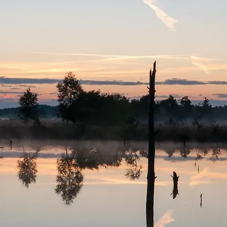 Hotel Hotel Villa Heideglueck Vormals Hotel Villa Schneverdingen 3*